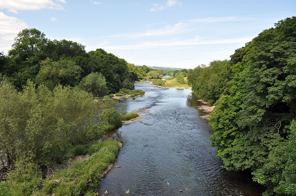 Dog-friendly dining in Hay-on-Wye - welcome atmosphere for pets and owners