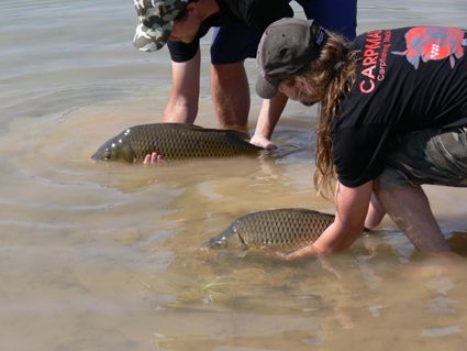 Angler practicing catch and release