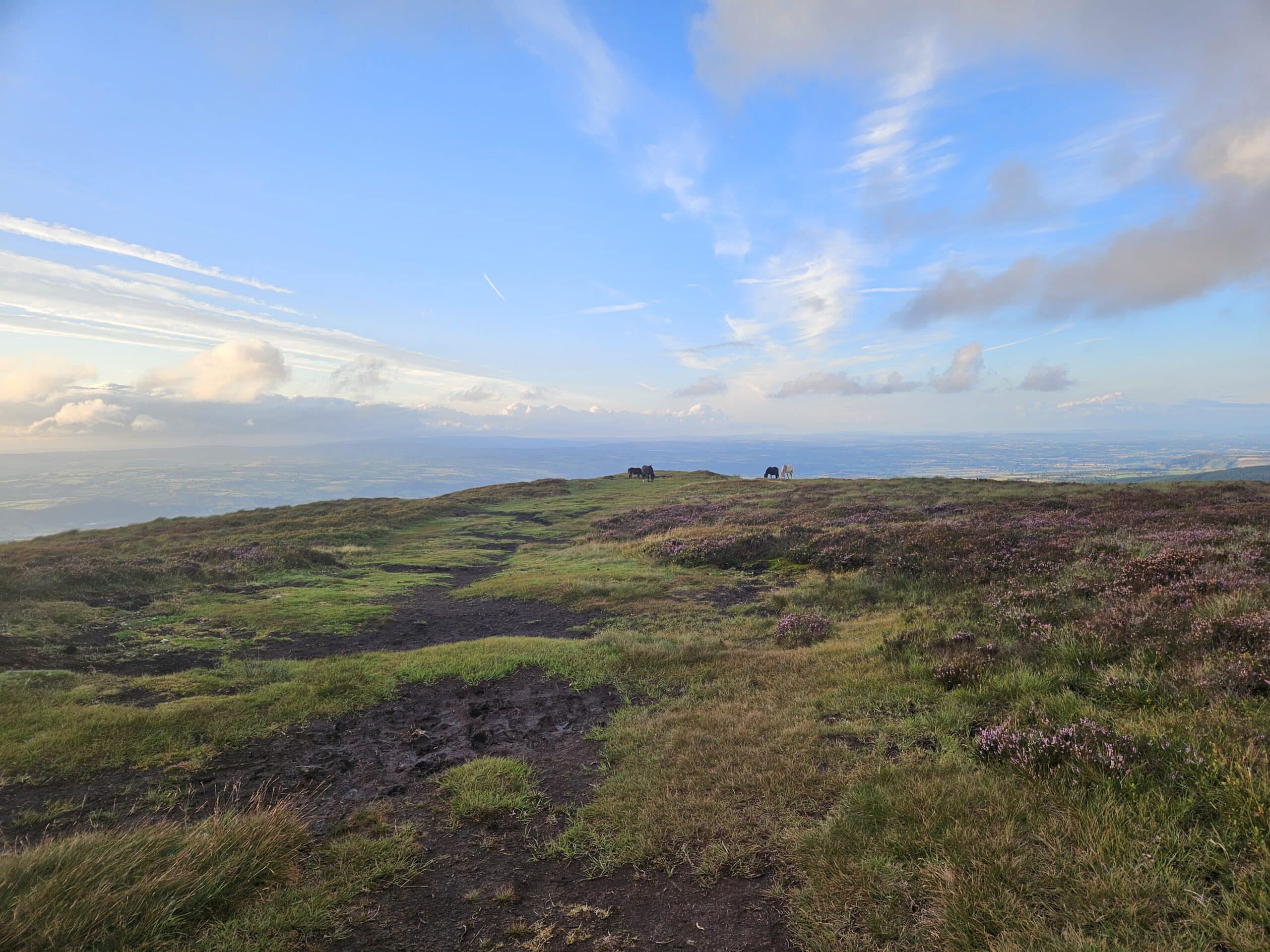Offa's Dyke Path near Hay-on-Wye