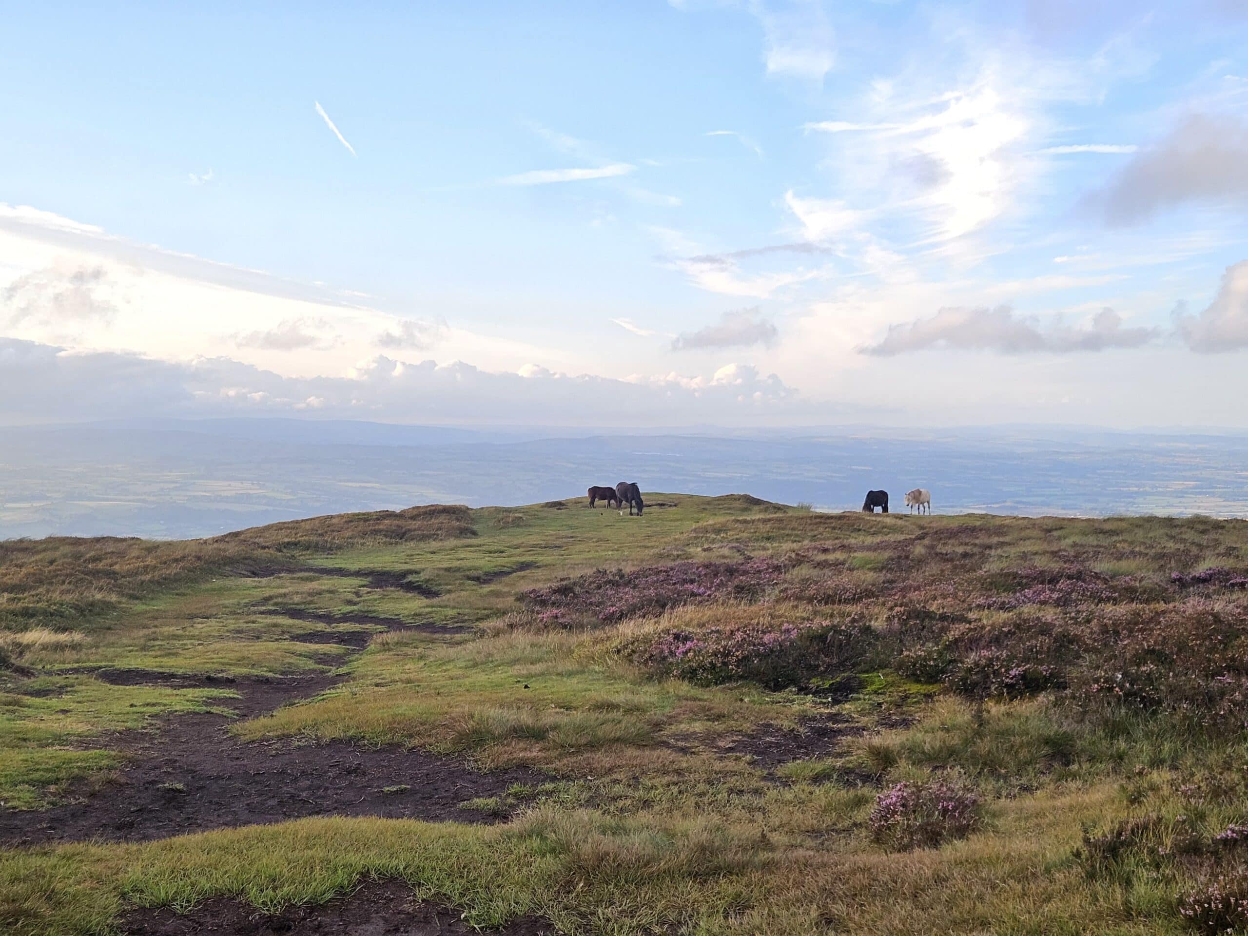 Black Mountains walking routes