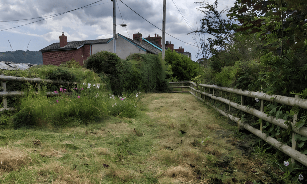 Secure enclosed garden perfect for dogs