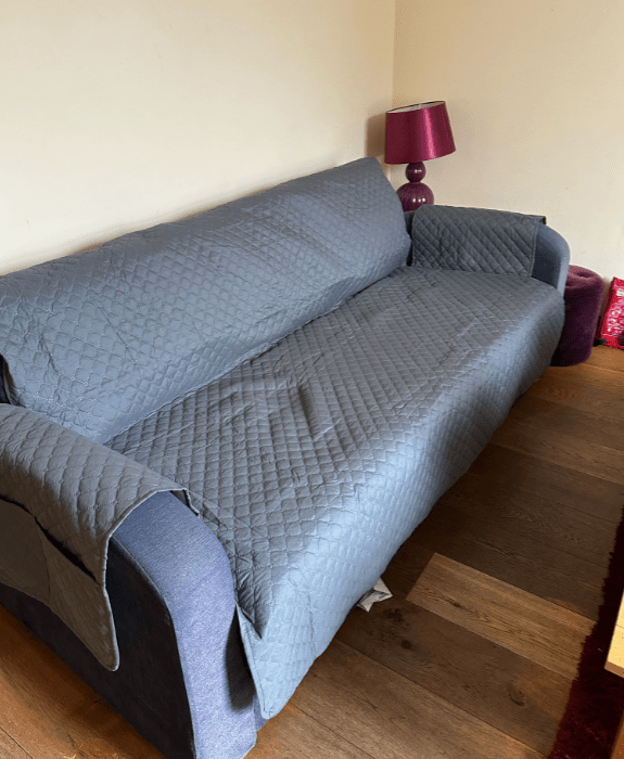 Dog-friendly furnishings with protective throws