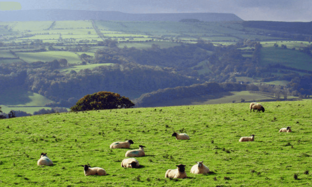 Brecon Beacons hiking for work-life balance