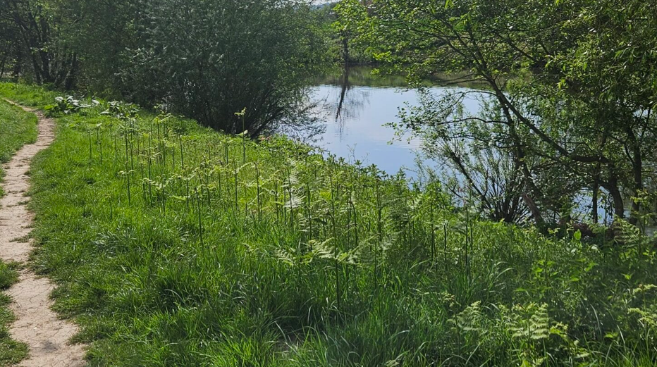 Walking along the River Wye